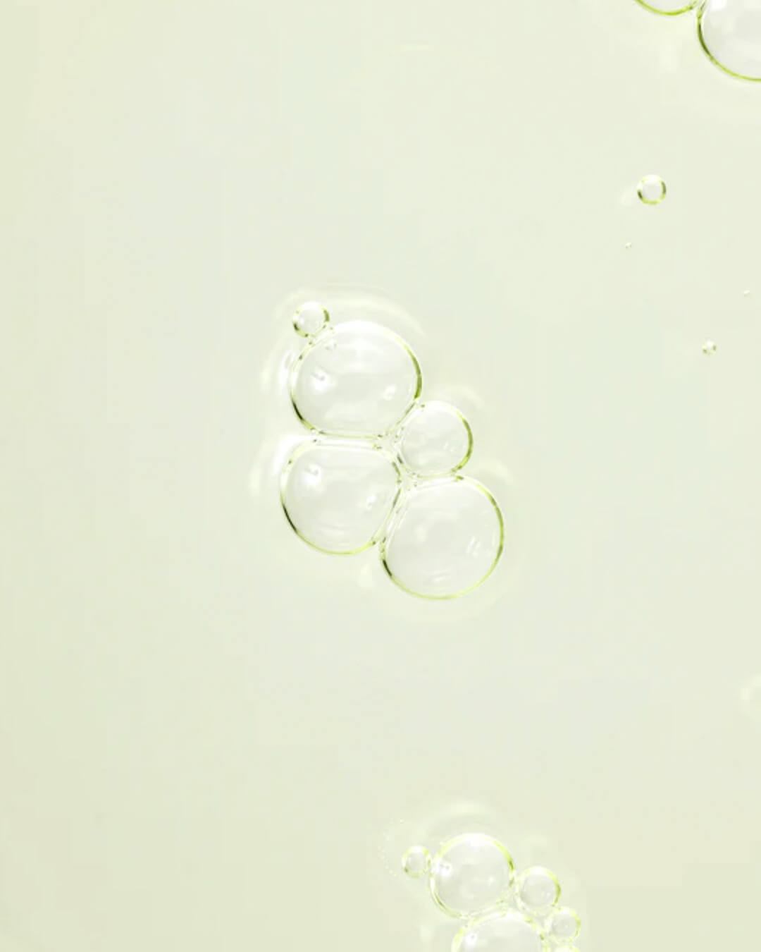 Beauty of Joseon Calming serum : Green tea + Panthenol