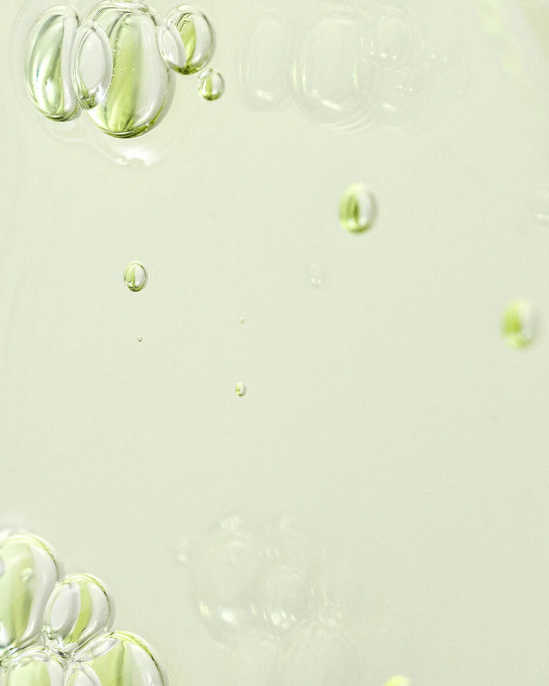 Beauty of Joseon Calming serum : Green tea + Panthenol