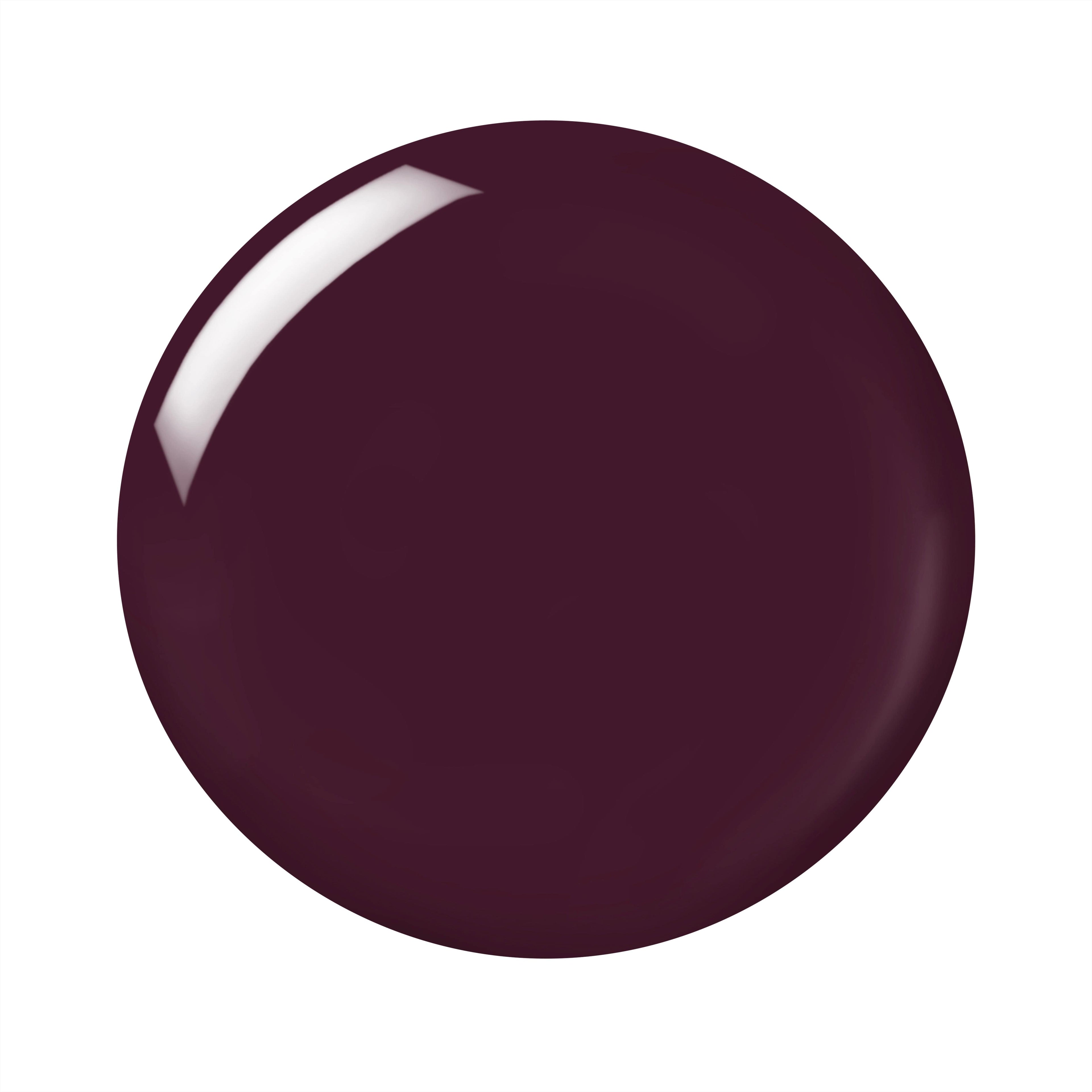In A Flash Quick Dry Nail Paint | Plum Passion