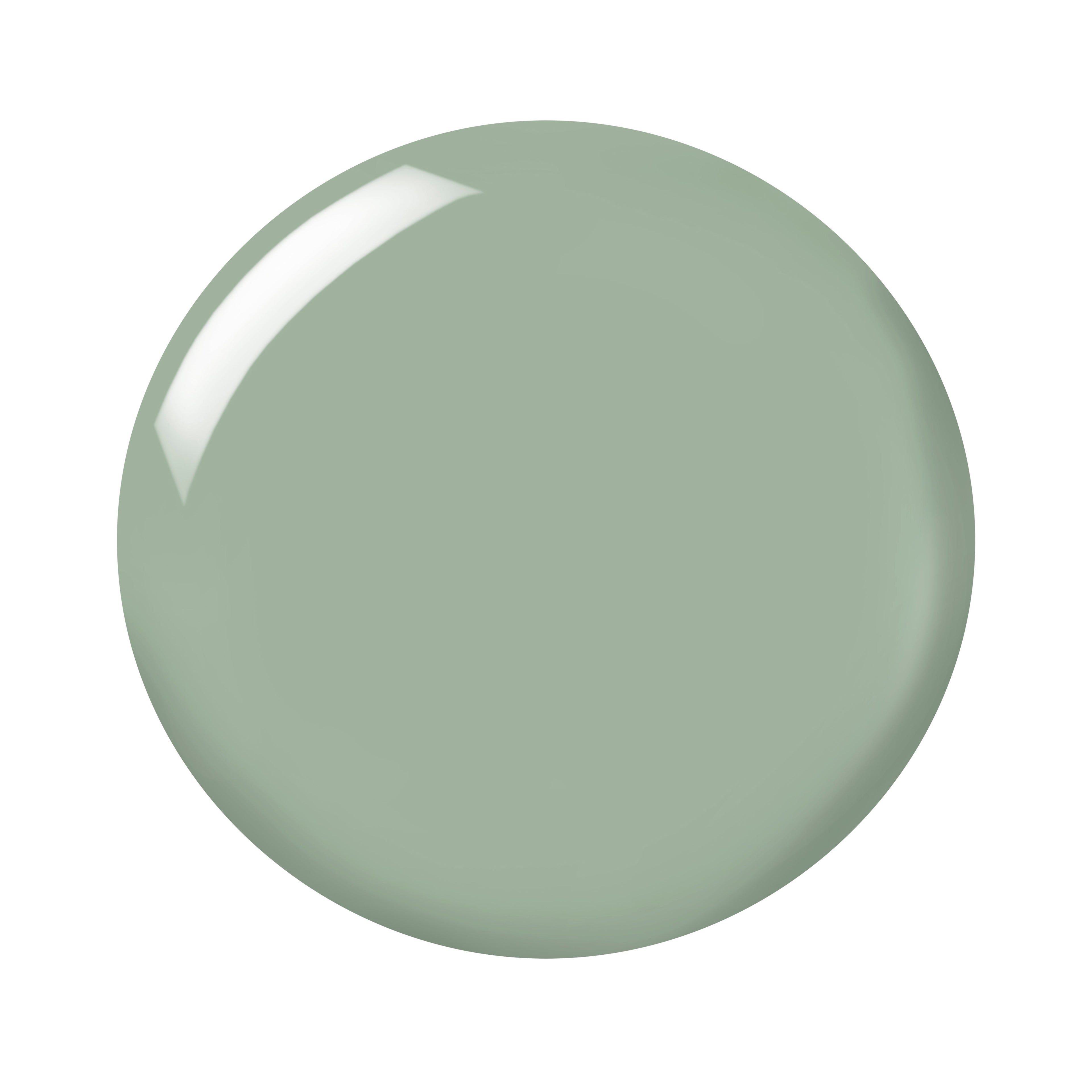 In A Flash Quick Dry Nail Paint | Go Go Green