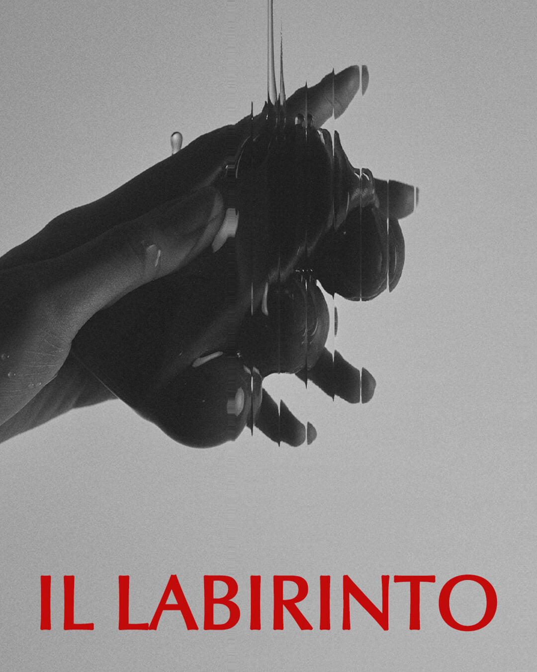 Vinoir Decanting Cleansing Bar | Il Labirinto