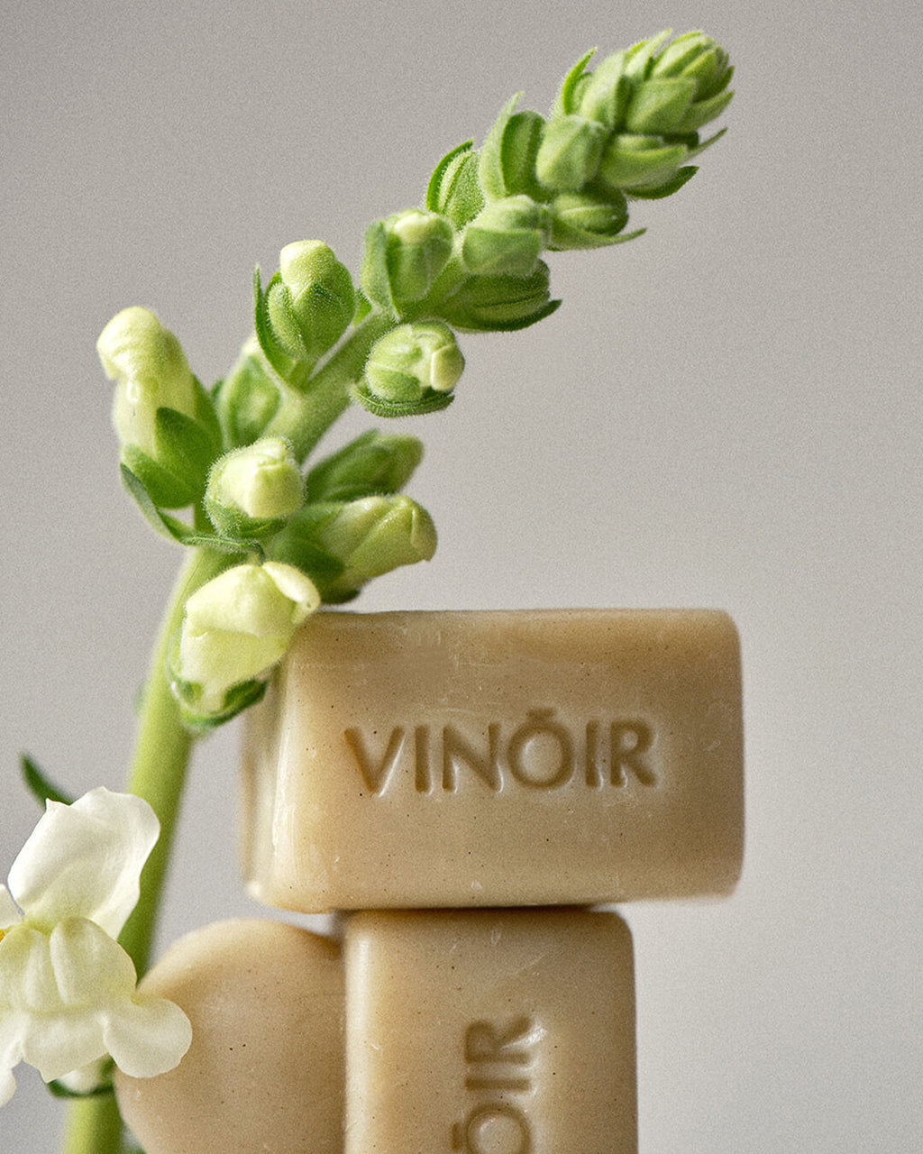 Vinoir Decanting Shampoo Bar | Le Pique-Nique