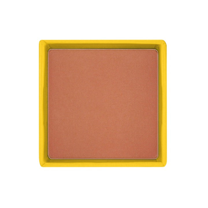 W7 Boxed Blush Ladybird Lane