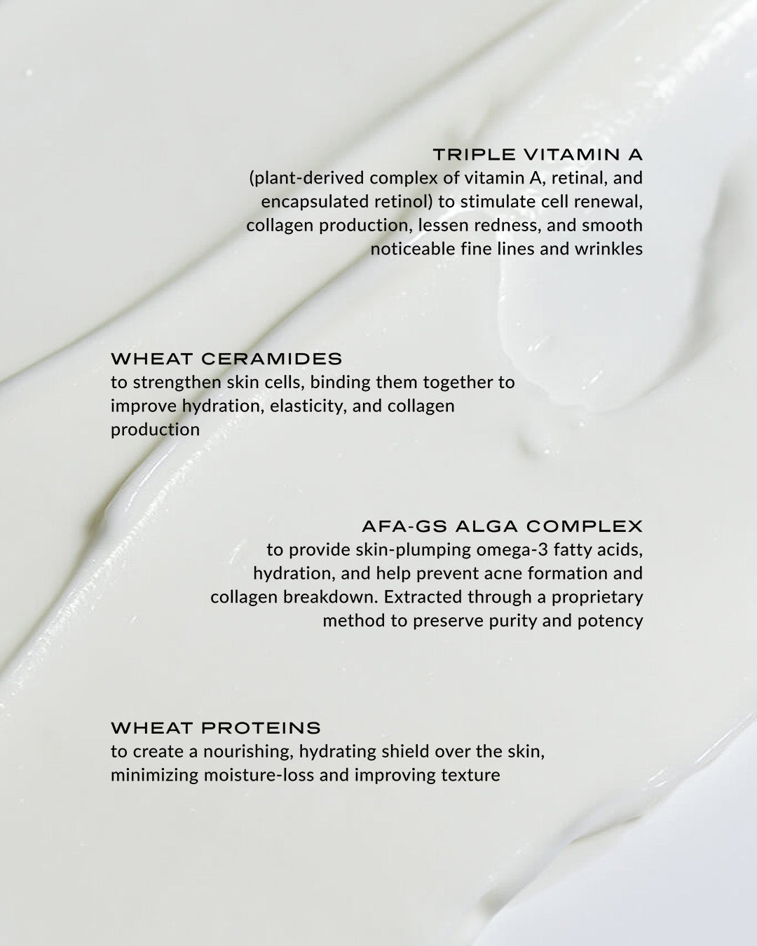 Wylys The Restore + Renew Set & Sage Verte Makeup Bag ($375 Value)